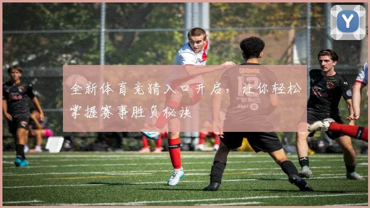 全新体育竞猜入口开启，让你轻松掌握赛事胜负秘诀