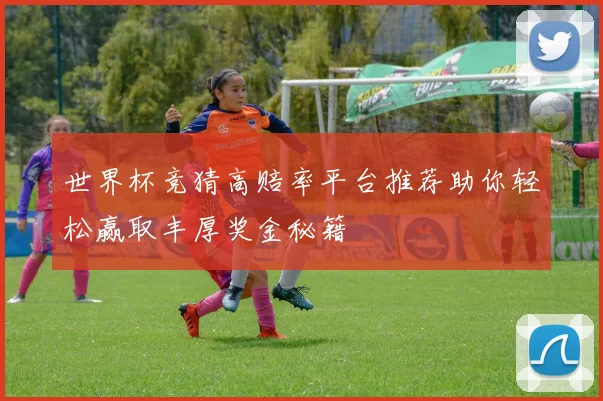 世界杯竞猜高赔率平台推荐助你轻松赢取丰厚奖金秘籍
