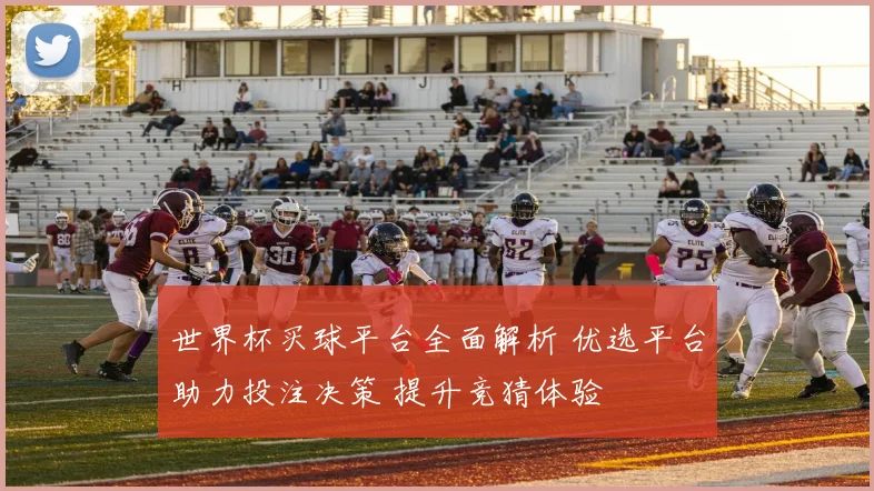 世界杯买球平台全面解析 优选平台助力投注决策 提升竞猜体验