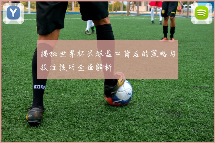 揭秘世界杯买球盘口背后的策略与投注技巧全面解析